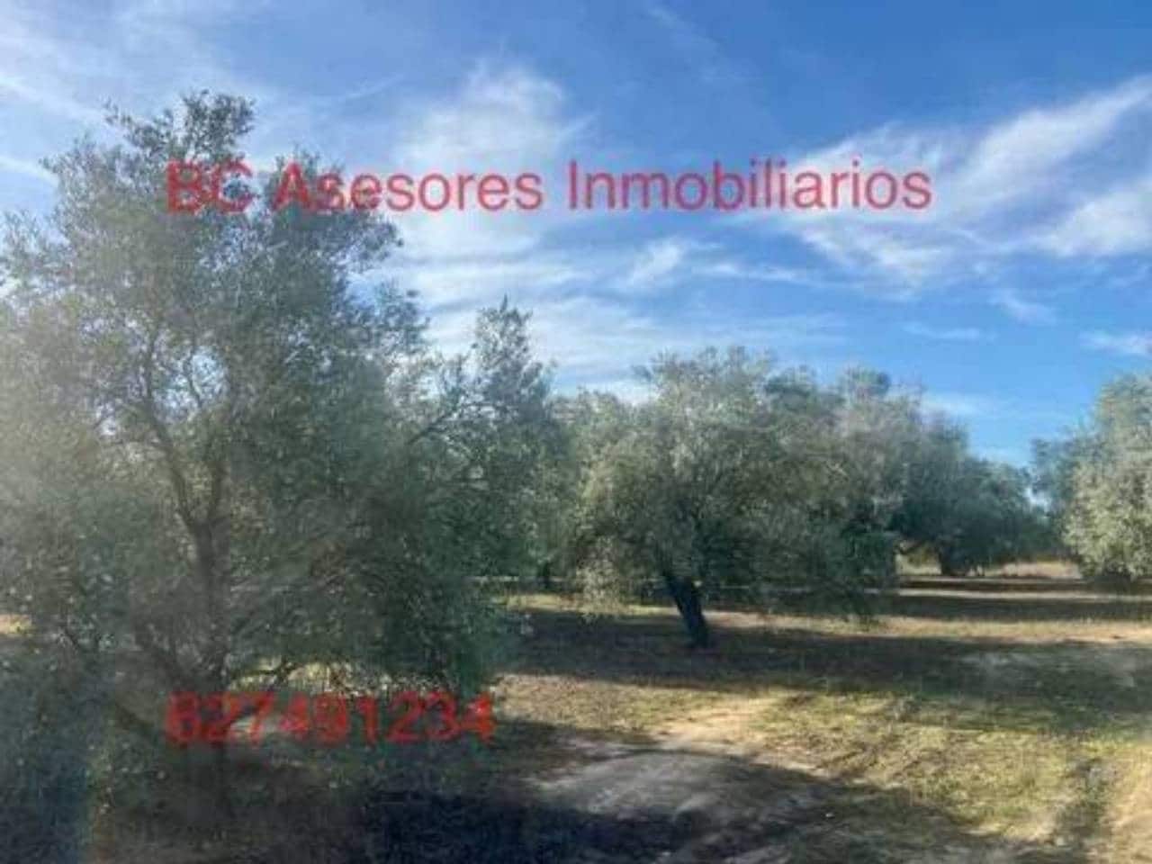 Undeveloped Land for sale in Rociana del Condado - € 75,000 (Ref: 9781182)
