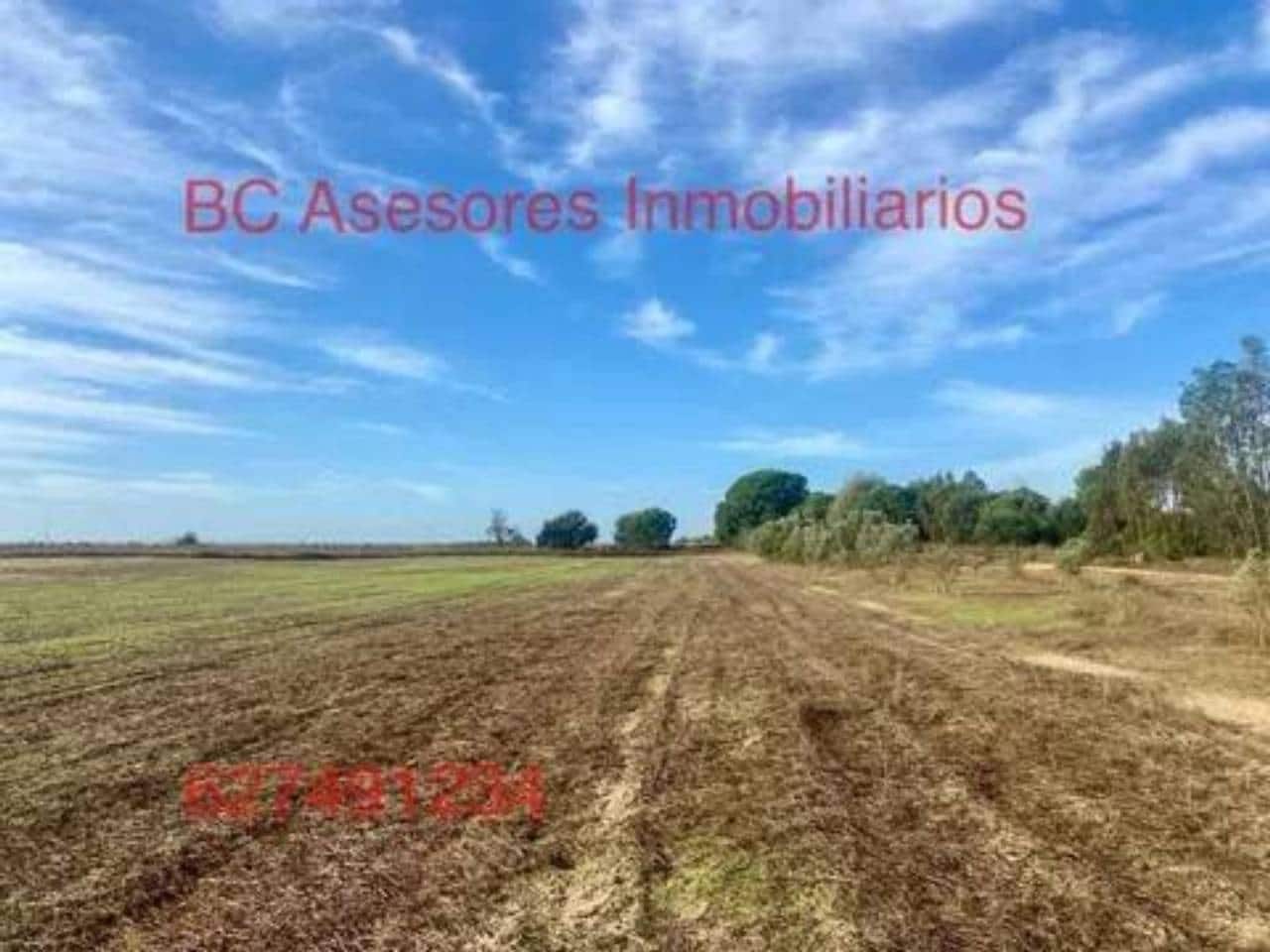 Undeveloped Land for sale in Rociana del Condado - € 75,000 (Ref: 9781182)