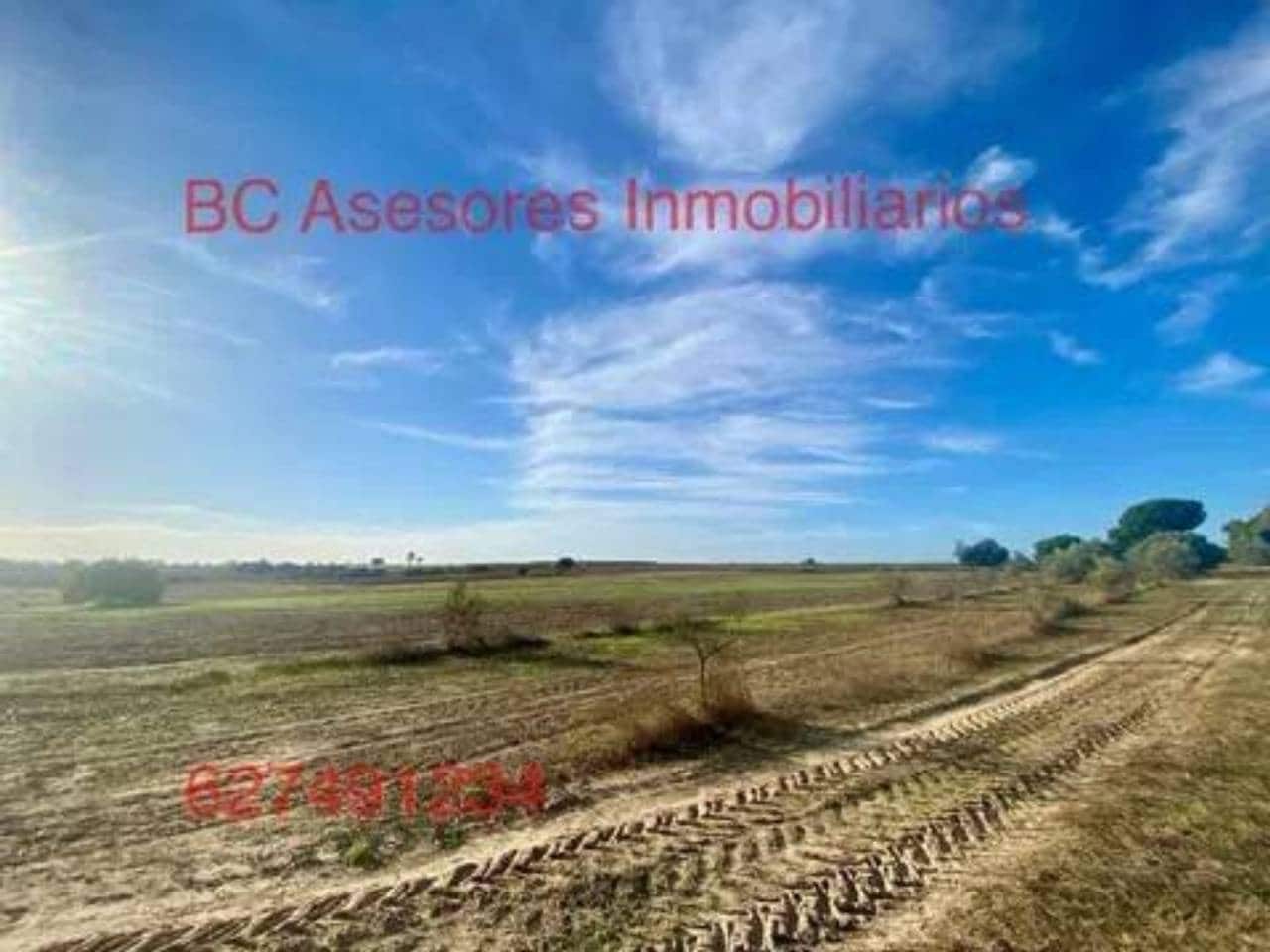 Undeveloped Land for sale in Rociana del Condado - € 75,000 (Ref: 9781182)