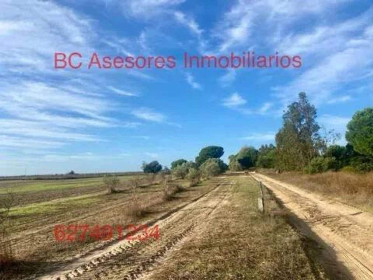 Undeveloped Land for sale in Rociana del Condado - € 75,000 (Ref: 9781182)