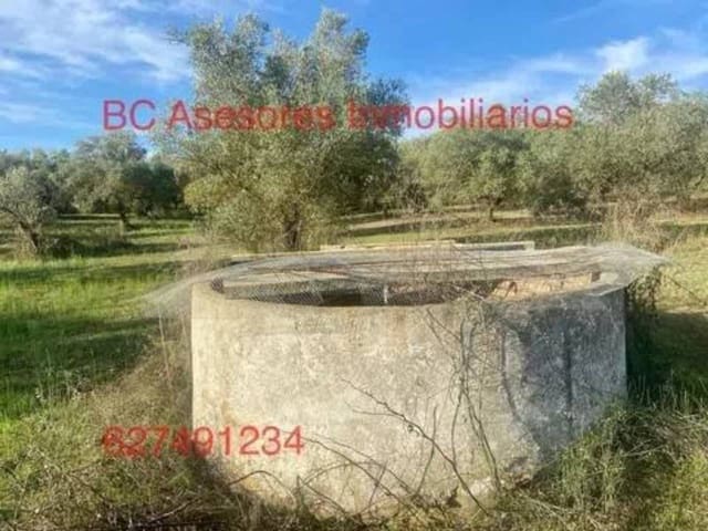 Undeveloped Land for sale in Rociana del Condado - € 75,000 (Ref: 9781182)