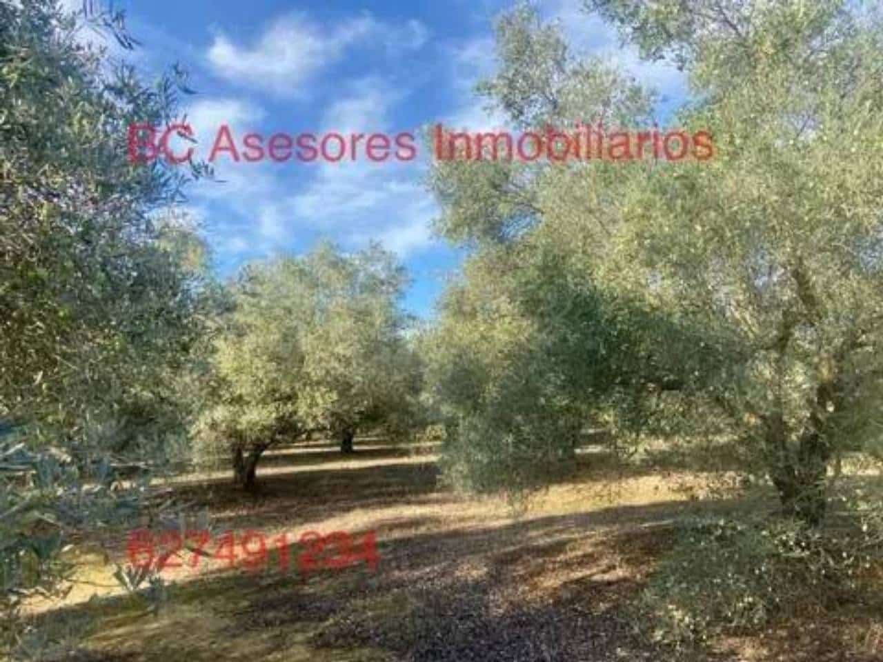 Undeveloped Land for sale in Rociana del Condado - € 75,000 (Ref: 9781182)