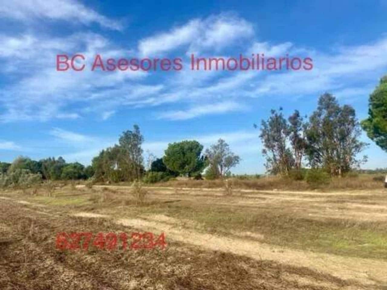 Undeveloped Land for sale in Rociana del Condado - € 75,000 (Ref: 9781182)