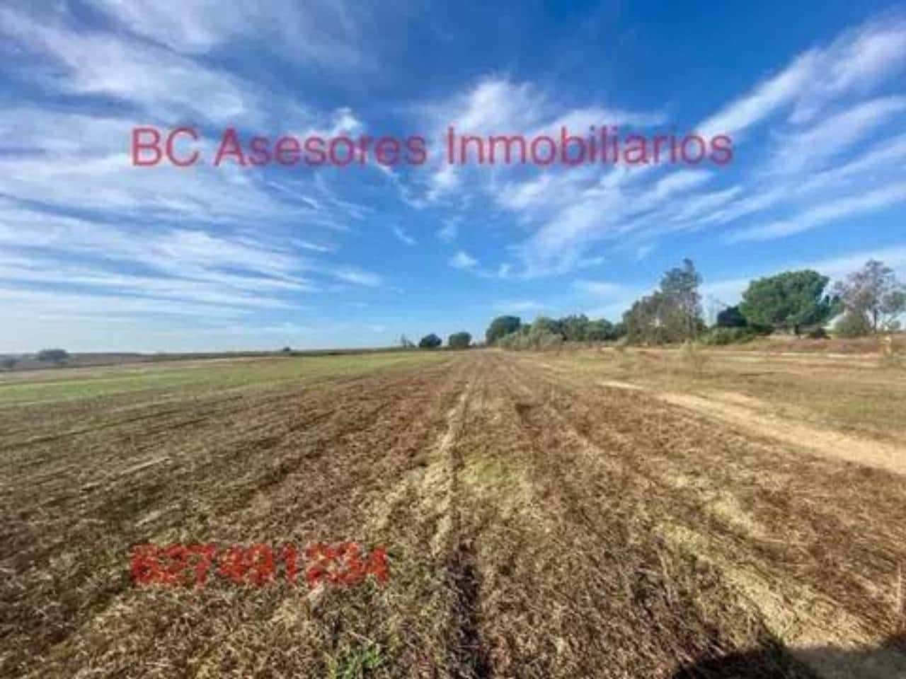 Undeveloped Land for sale in Rociana del Condado - € 75,000 (Ref: 9781182)