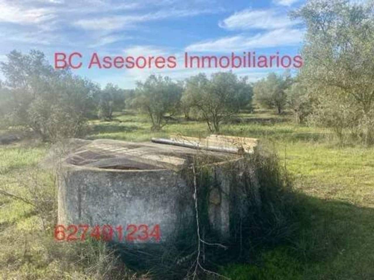 Undeveloped Land for sale in Rociana del Condado - € 75,000 (Ref: 9781182)