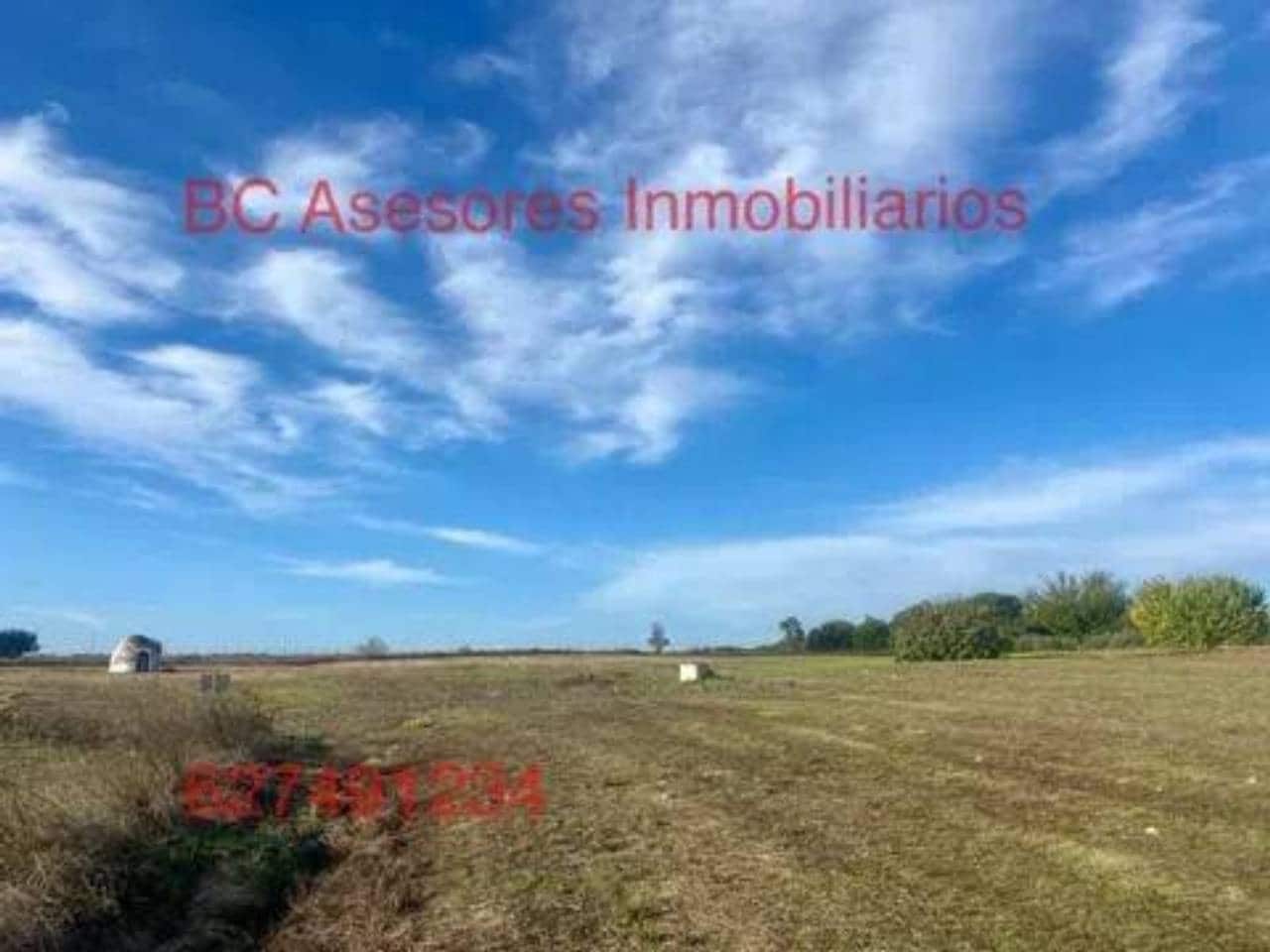 Undeveloped Land for sale in Rociana del Condado - € 75,000 (Ref: 9781182)