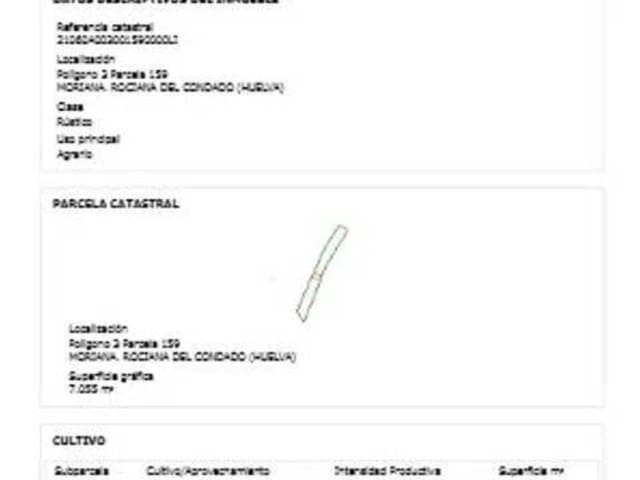 Undeveloped Land for sale in Rociana del Condado - € 10,583 (Ref: 9781184)