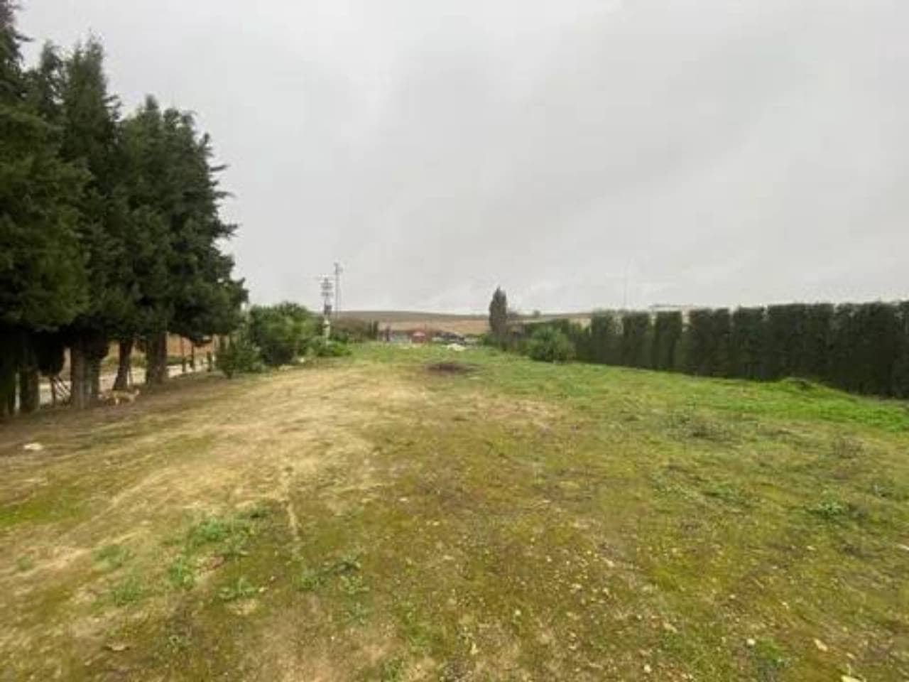 Undeveloped Land for sale in Rociana del Condado - € 73,000 (Ref: 9781188)