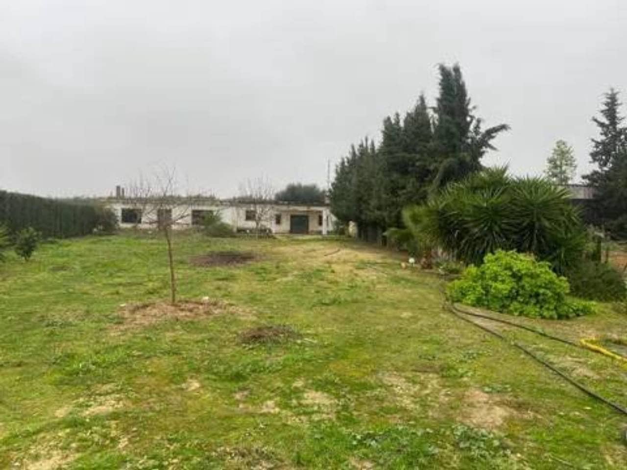 Undeveloped Land for sale in Rociana del Condado - € 73,000 (Ref: 9781188)