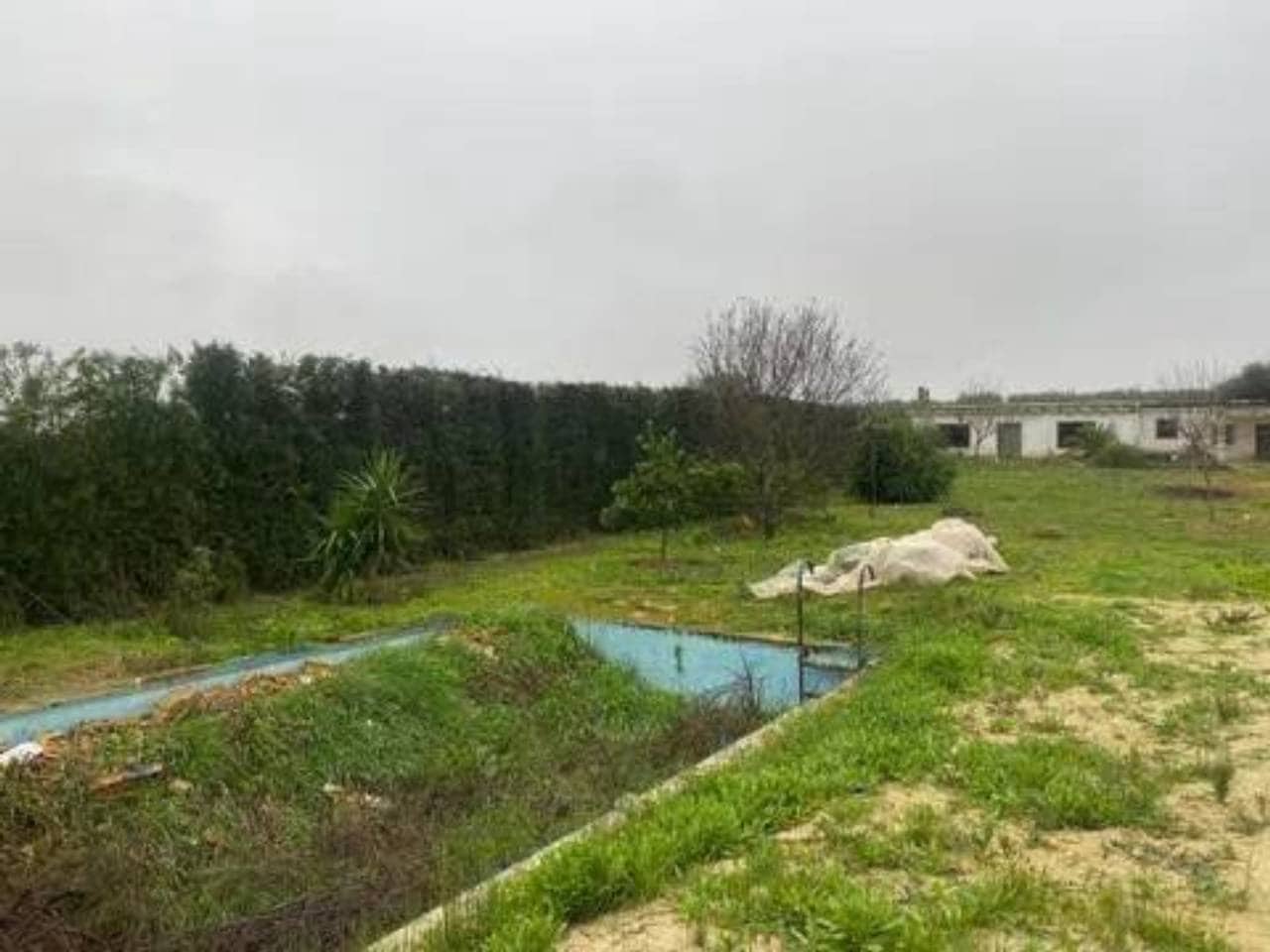 Undeveloped Land for sale in Rociana del Condado - € 73,000 (Ref: 9781188)