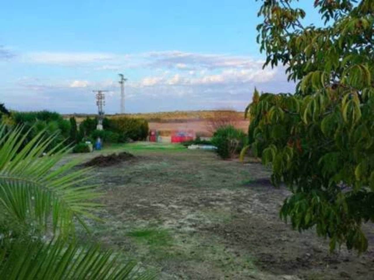 Undeveloped Land for sale in Rociana del Condado - € 73,000 (Ref: 9781188)