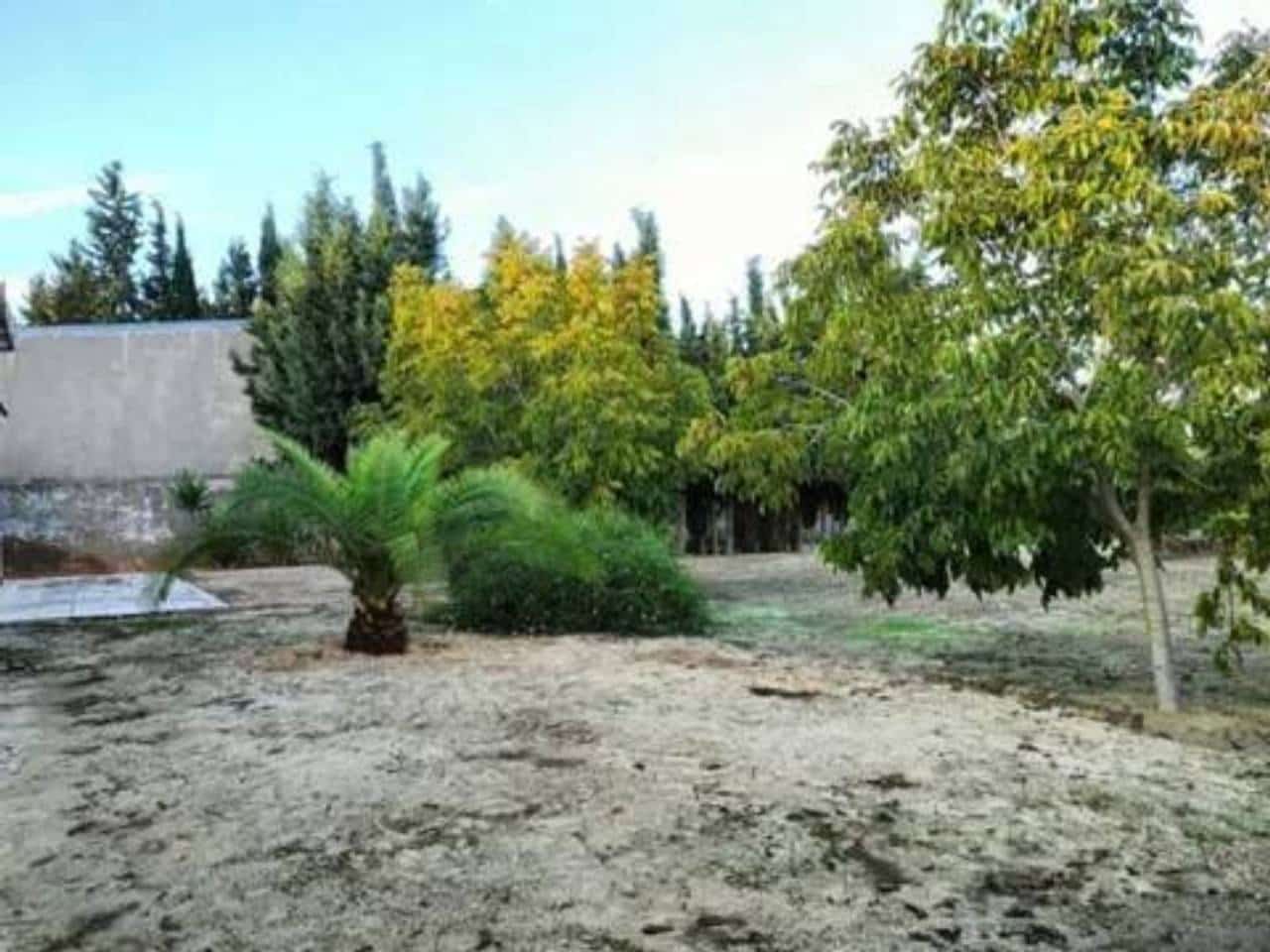 Undeveloped Land for sale in Rociana del Condado - € 73,000 (Ref: 9781188)