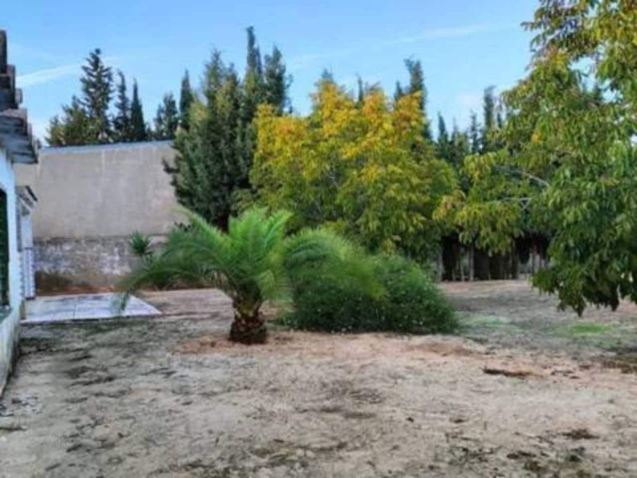 Undeveloped Land for sale in Rociana del Condado - € 73,000 (Ref: 9781188)
