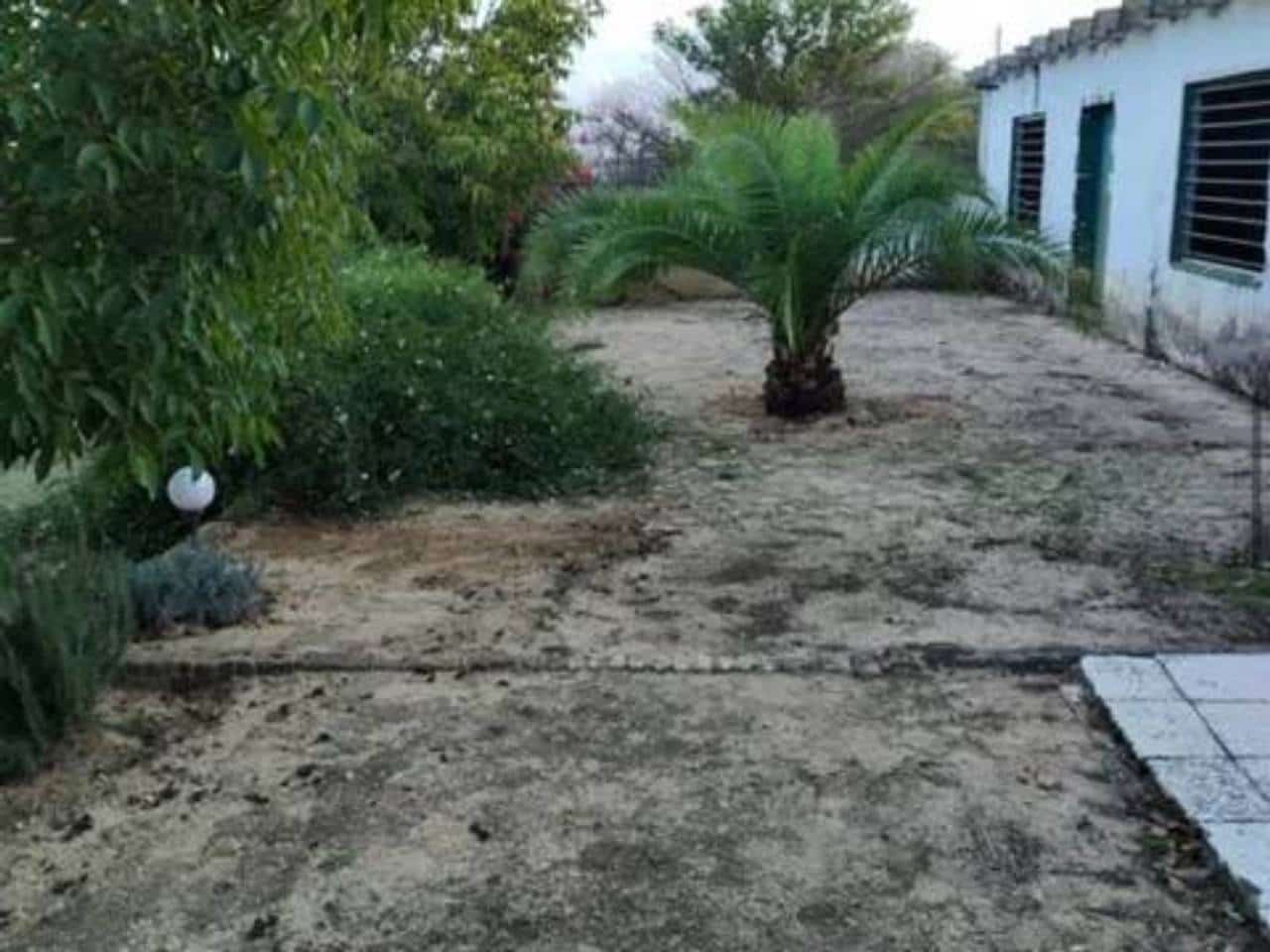 Undeveloped Land for sale in Rociana del Condado - € 73,000 (Ref: 9781188)