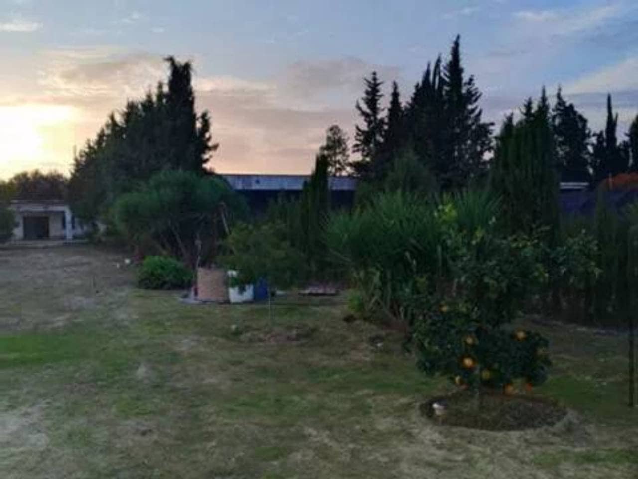 Undeveloped Land for sale in Rociana del Condado - € 73,000 (Ref: 9781188)