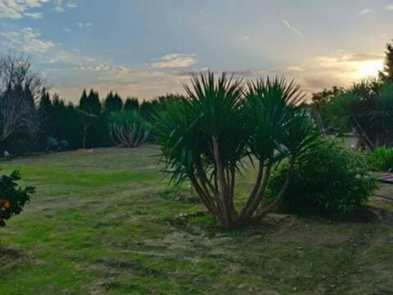 Undeveloped Land for sale in Rociana del Condado - € 73,000 (Ref: 9781188)