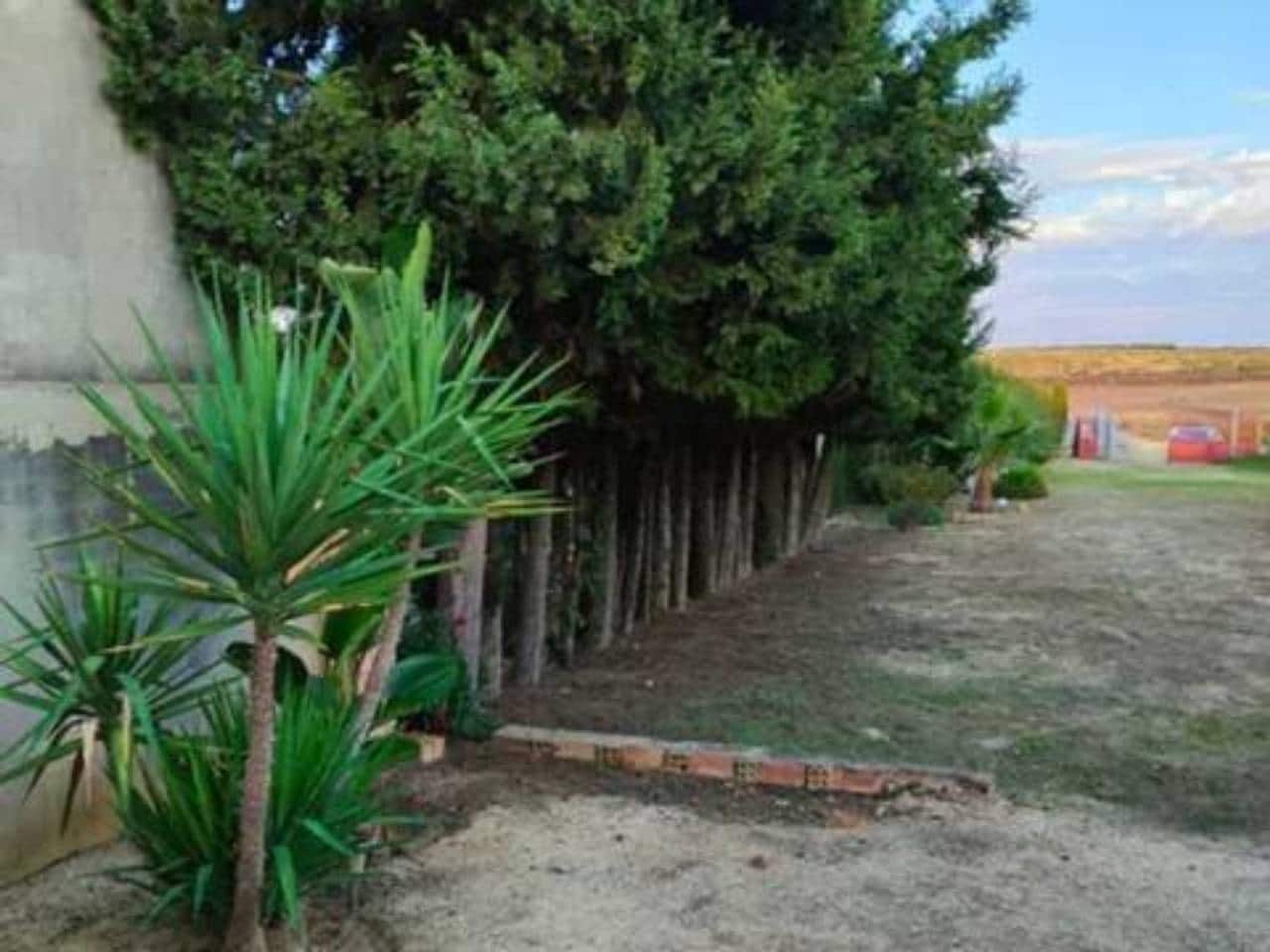 Undeveloped Land for sale in Rociana del Condado - € 73,000 (Ref: 9781188)