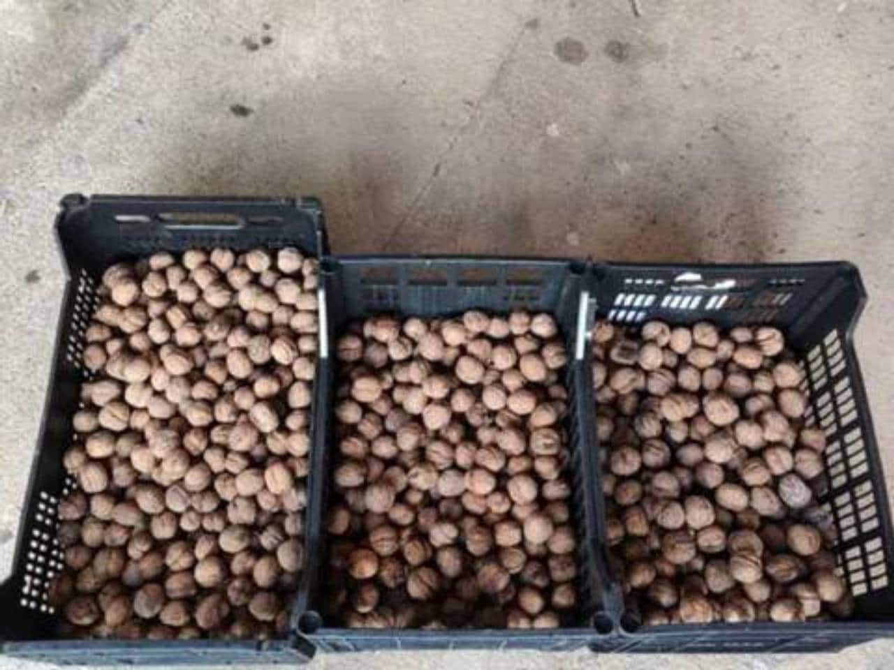 Undeveloped Land for sale in Rociana del Condado - € 73,000 (Ref: 9781188)