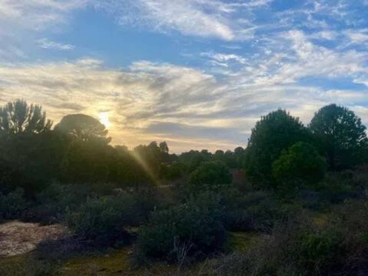 Undeveloped Land for sale in Rociana del Condado - € 200,000 (Ref: 9781192)