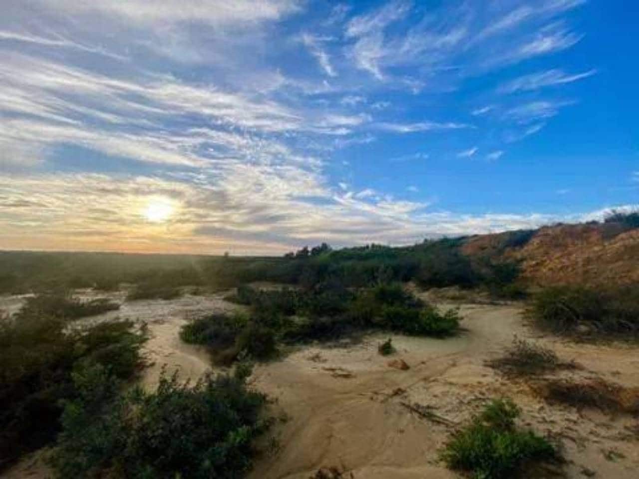 Undeveloped Land for sale in Rociana del Condado - € 200,000 (Ref: 9781192)