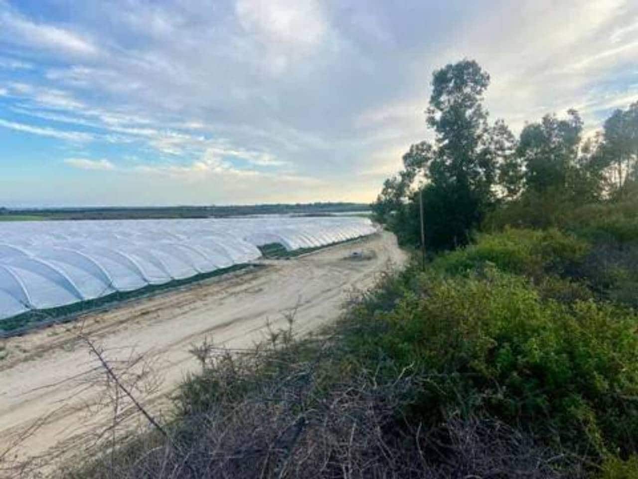 Undeveloped Land for sale in Rociana del Condado - € 200,000 (Ref: 9781192)