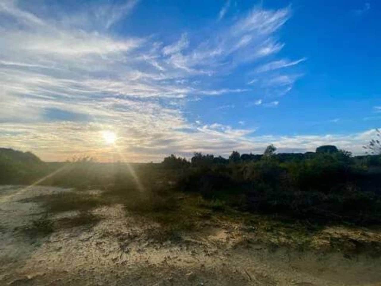 Undeveloped Land for sale in Rociana del Condado - € 200,000 (Ref: 9781192)