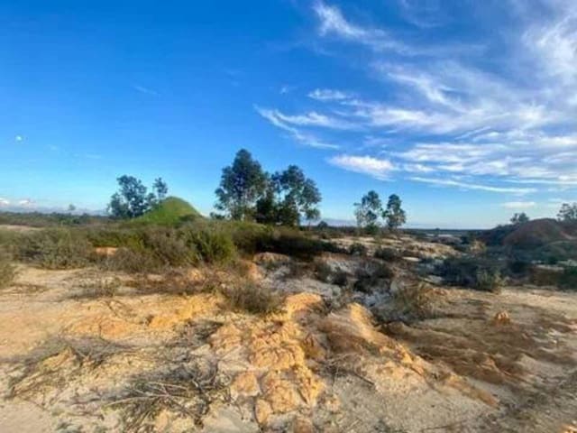 Undeveloped Land for sale in Rociana del Condado - € 200,000 (Ref: 9781192)