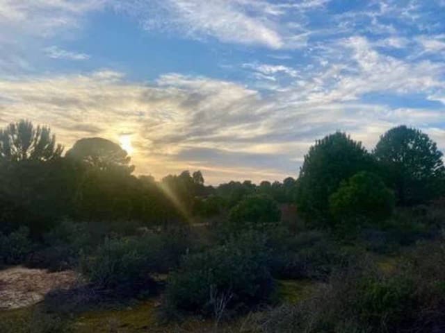 Undeveloped Land for sale in Rociana del Condado - € 200,000 (Ref: 9781192)