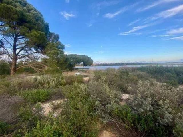 Undeveloped Land for sale in Rociana del Condado - € 200,000 (Ref: 9781192)