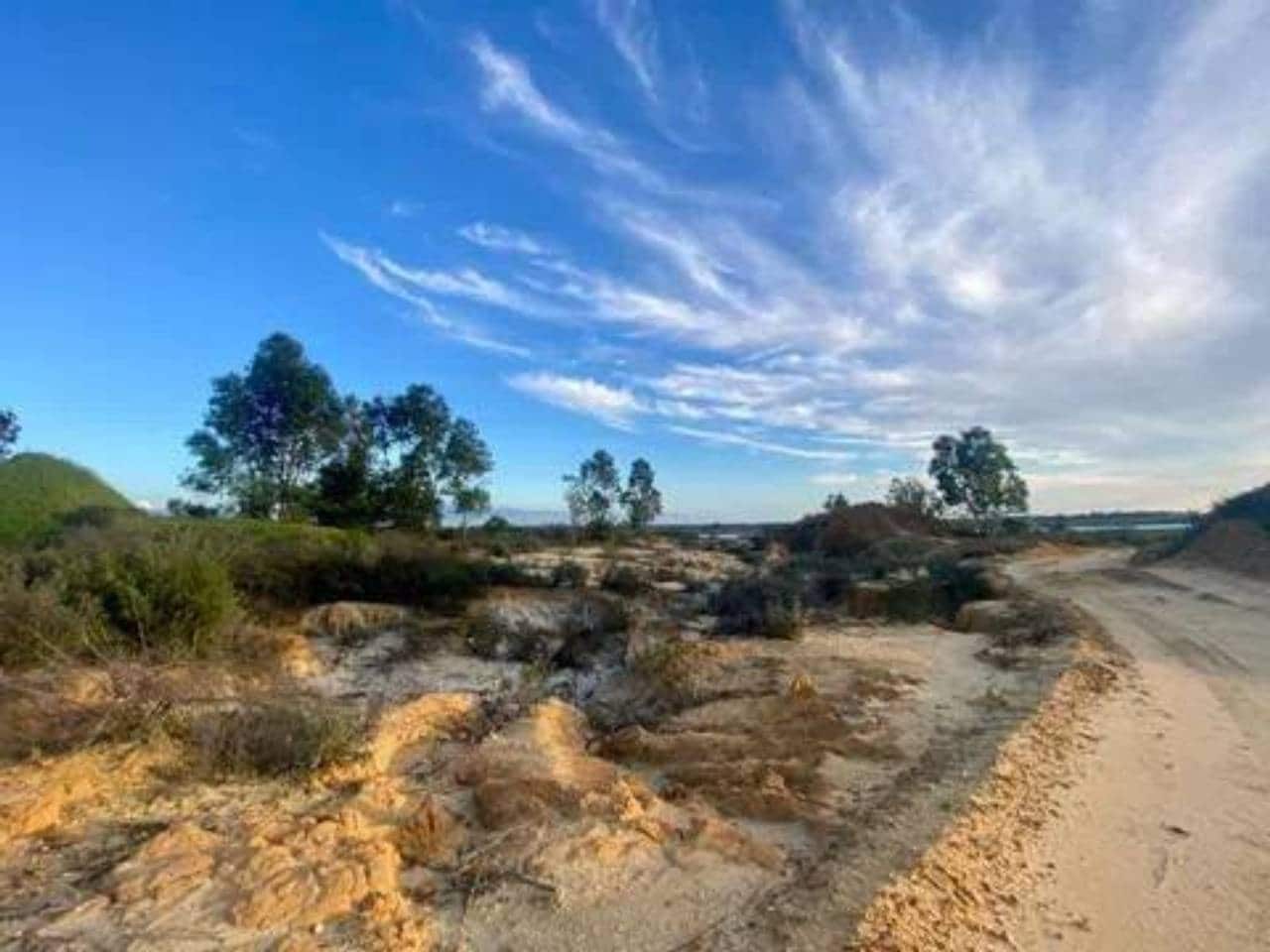 Undeveloped Land for sale in Rociana del Condado - € 200,000 (Ref: 9781192)