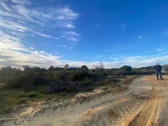 Undeveloped Land for sale in Rociana del Condado - € 200,000 (Ref: 9781192)