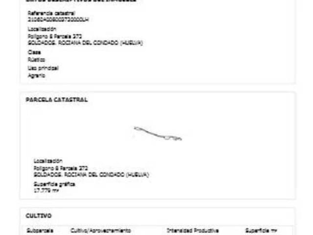 Undeveloped Land for sale in Rociana del Condado - € 22,000 (Ref: 9781194)