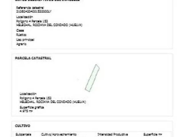 Undeveloped Land for sale in Rociana del Condado - € 13,500 (Ref: 9781195)