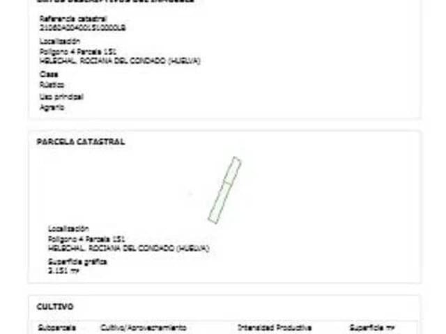 Undeveloped Land for sale in Rociana del Condado - € 13,500 (Ref: 9781195)