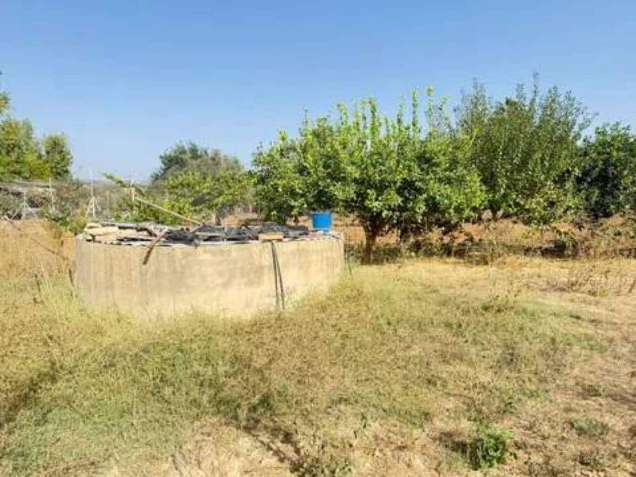 Undeveloped Land for sale in Rociana del Condado - € 35,000 (Ref: 9781196)