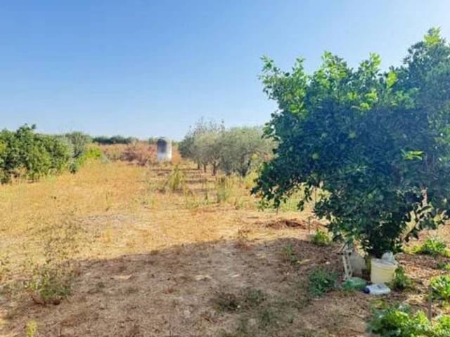 Undeveloped Land for sale in Rociana del Condado - € 35,000 (Ref: 9781196)