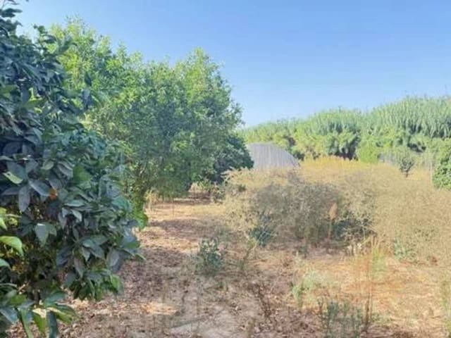 Undeveloped Land for sale in Rociana del Condado - € 35,000 (Ref: 9781196)