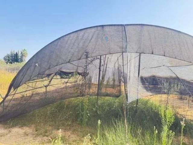 Undeveloped Land for sale in Rociana del Condado - € 35,000 (Ref: 9781196)