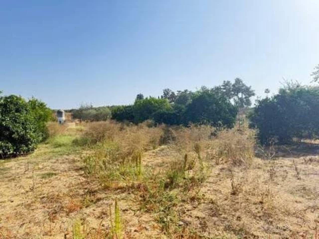 Undeveloped Land for sale in Rociana del Condado - € 35,000 (Ref: 9781196)