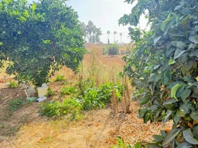 Undeveloped Land for sale in Rociana del Condado - € 35,000 (Ref: 9781196)