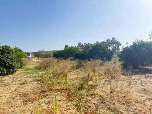 Undeveloped Land for sale in Rociana del Condado - € 35,000 (Ref: 9781196)