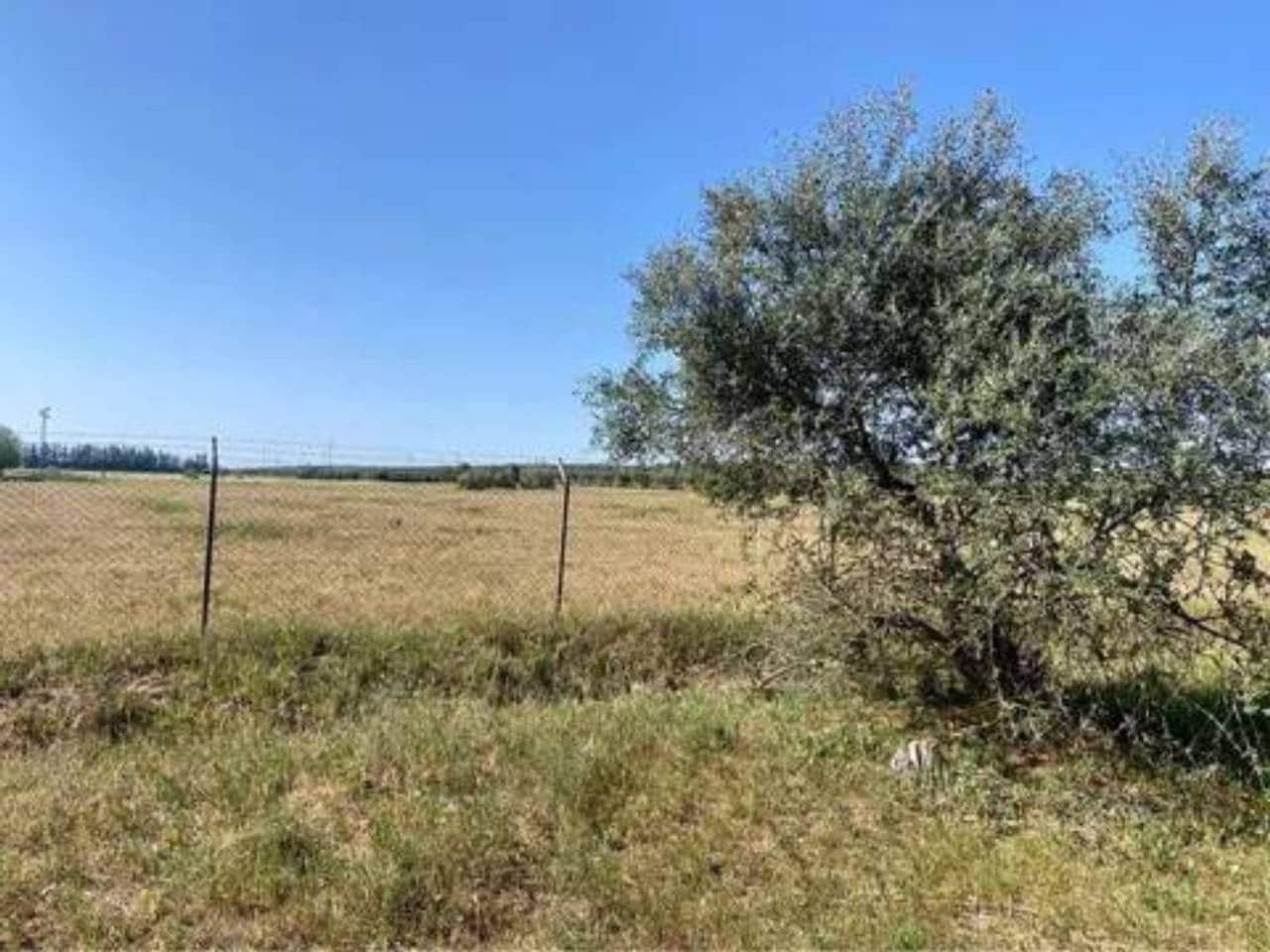 Terreno/Finca Rústica en Almonte en venta - 730.000 € (Ref: 9781199)