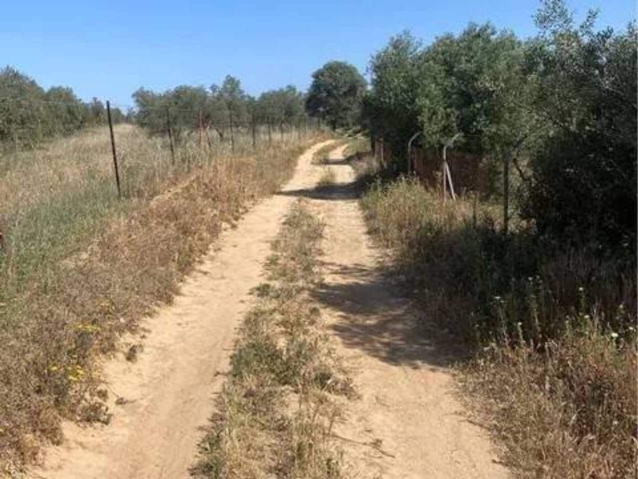 Terreno/Finca Rústica en Almonte en venta - 730.000 € (Ref: 9781199)