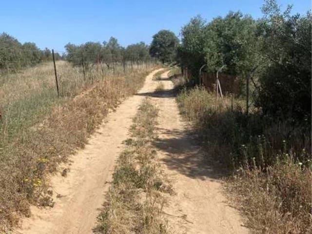 Terreno/Finca Rústica en Almonte en venta - 730.000 € (Ref: 9781199)