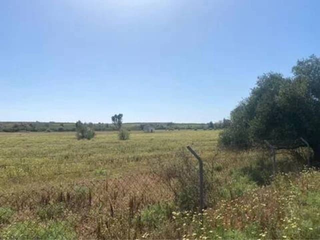 Terreno/Finca Rústica en Almonte en venta - 730.000 € (Ref: 9781199)