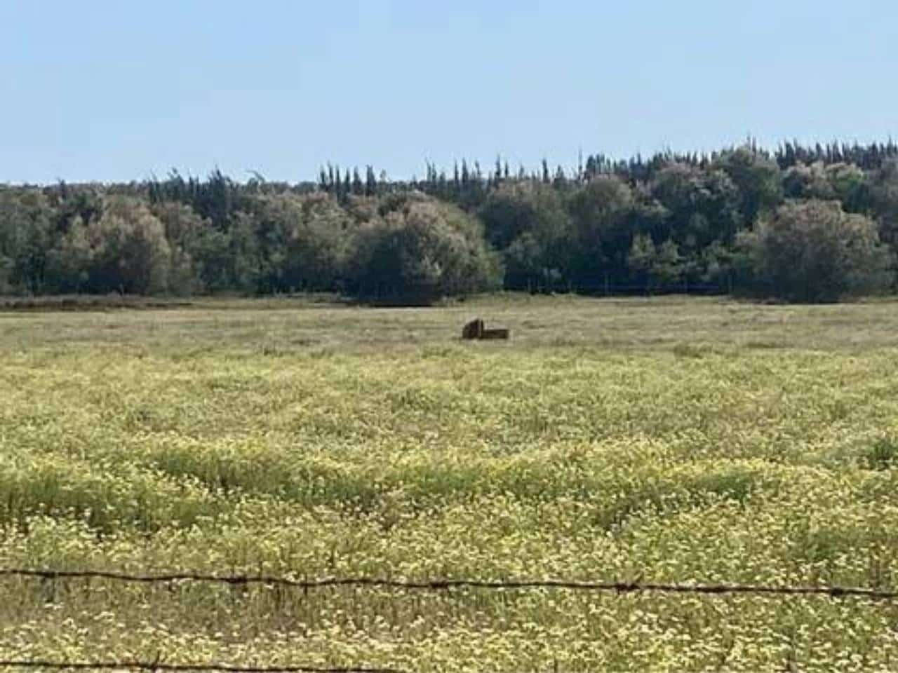 Terreno/Finca Rústica en Almonte en venta - 730.000 € (Ref: 9781199)