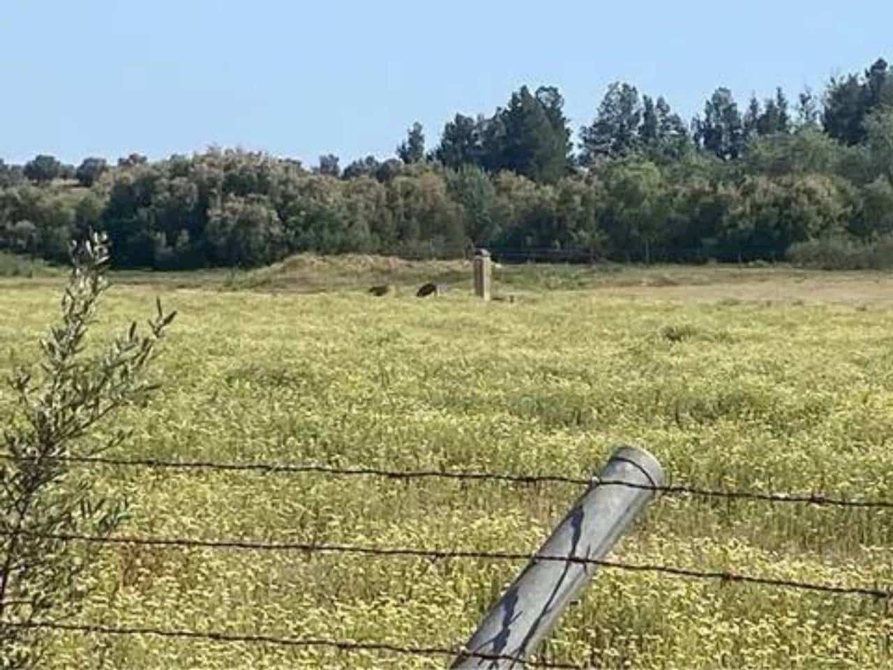 Terreno/Finca Rústica en Almonte en venta - 730.000 € (Ref: 9781199)