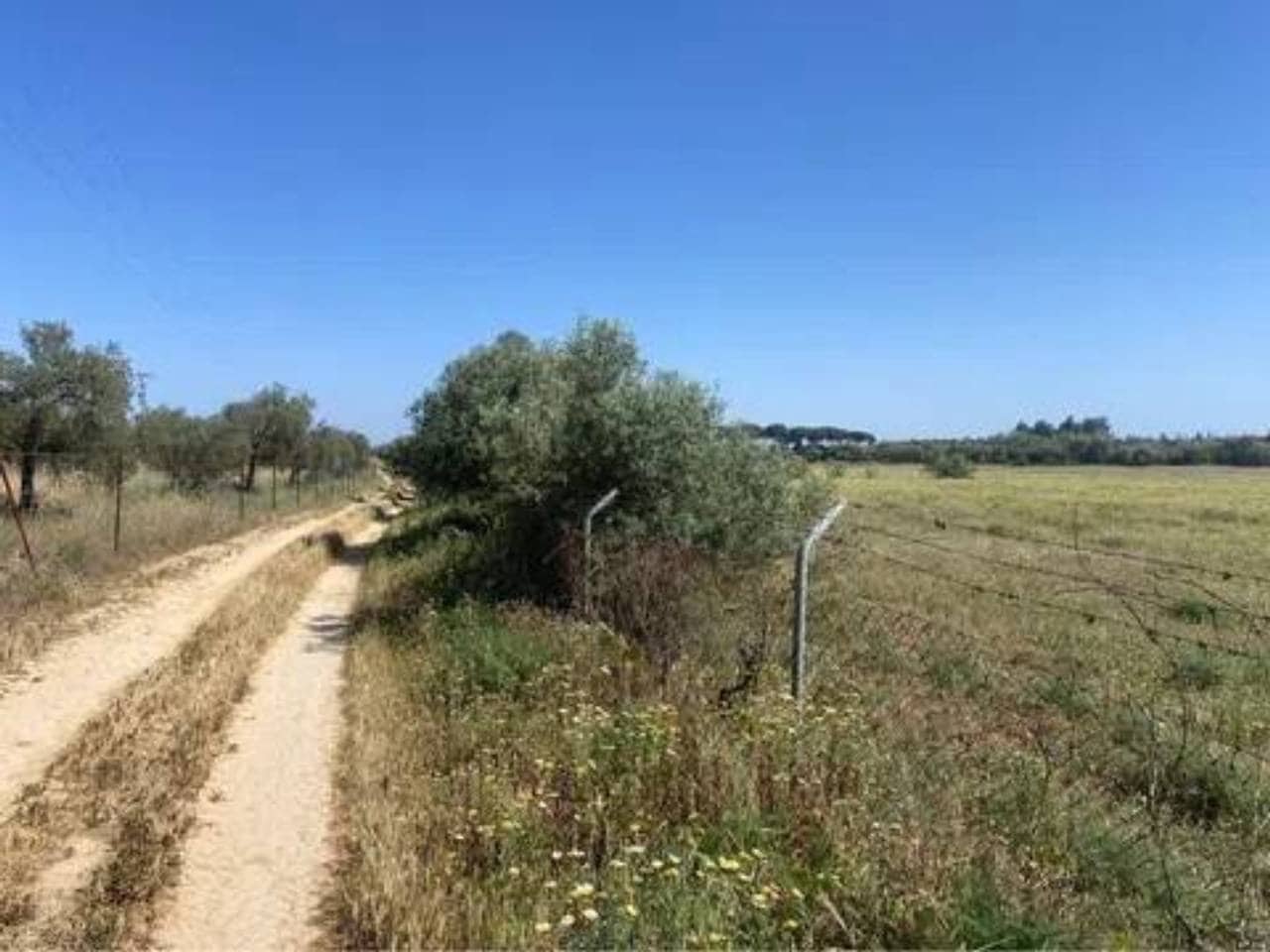 Terreno/Finca Rústica en Almonte en venta - 730.000 € (Ref: 9781199)