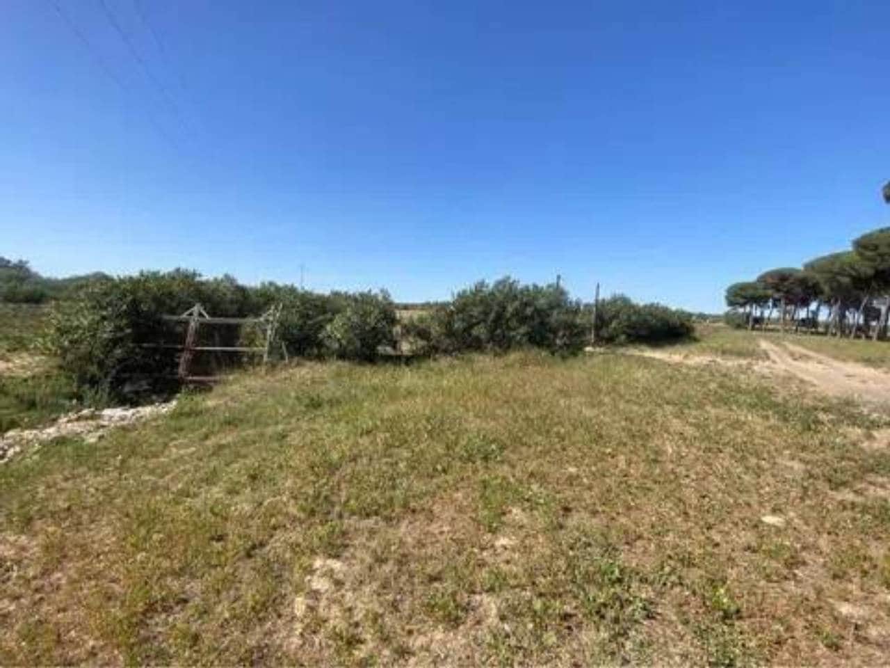 Terreno/Finca Rústica en Almonte en venta - 730.000 € (Ref: 9781199)