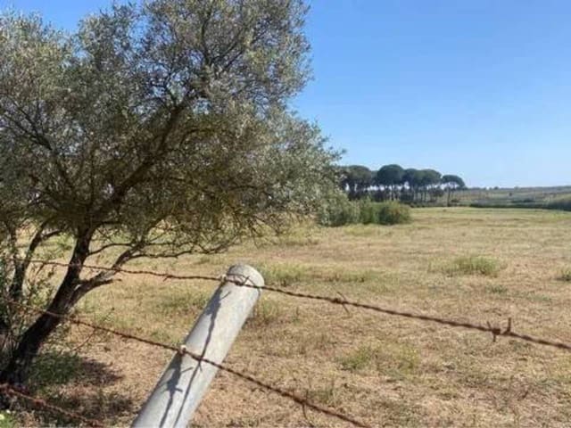 Terreno/Finca Rústica en Almonte en venta - 730.000 € (Ref: 9781199)